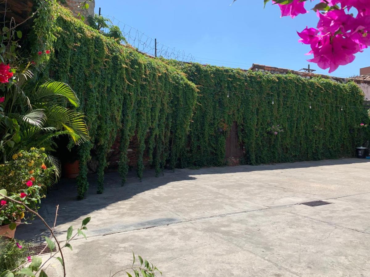 Hostal Villa Blanca Metapan Exterior photo
